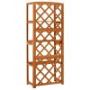 Trellis with Shelves 21.6"x11.8"x55.1" Solid Fir Wood