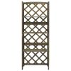 Trellis with Shelves Gray 21.6"x11.8"x55.1" Solid Fir Wood