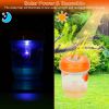 2Pcs Solar Powered Outdoor Wasp Trap Hanging Fly Catcher
